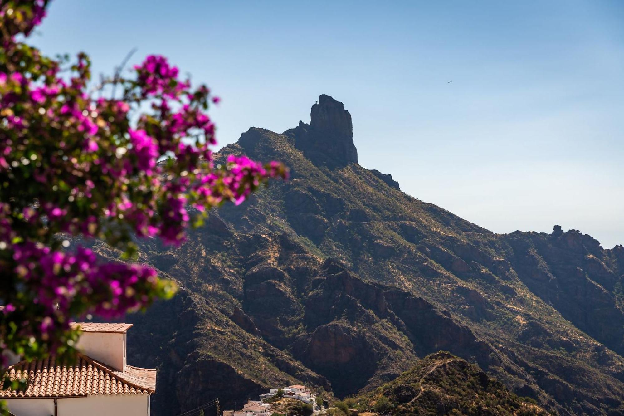 Macaronesia Lpa Suites Las Palmas de Gran Canaria Exterior photo